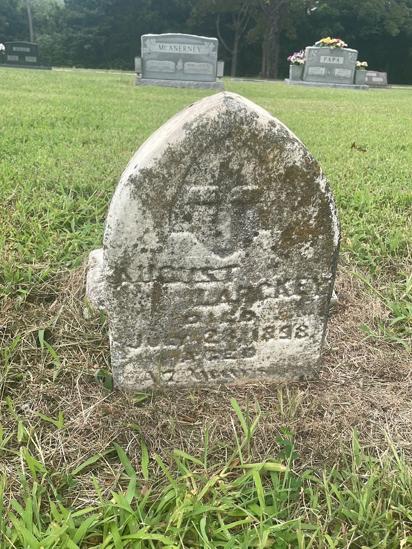 August Larckey's grave. Photo 1