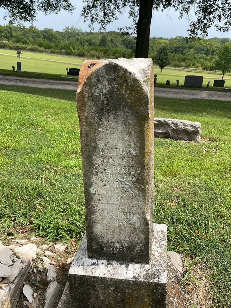 Walter Oelschleager's grave. Photo 1