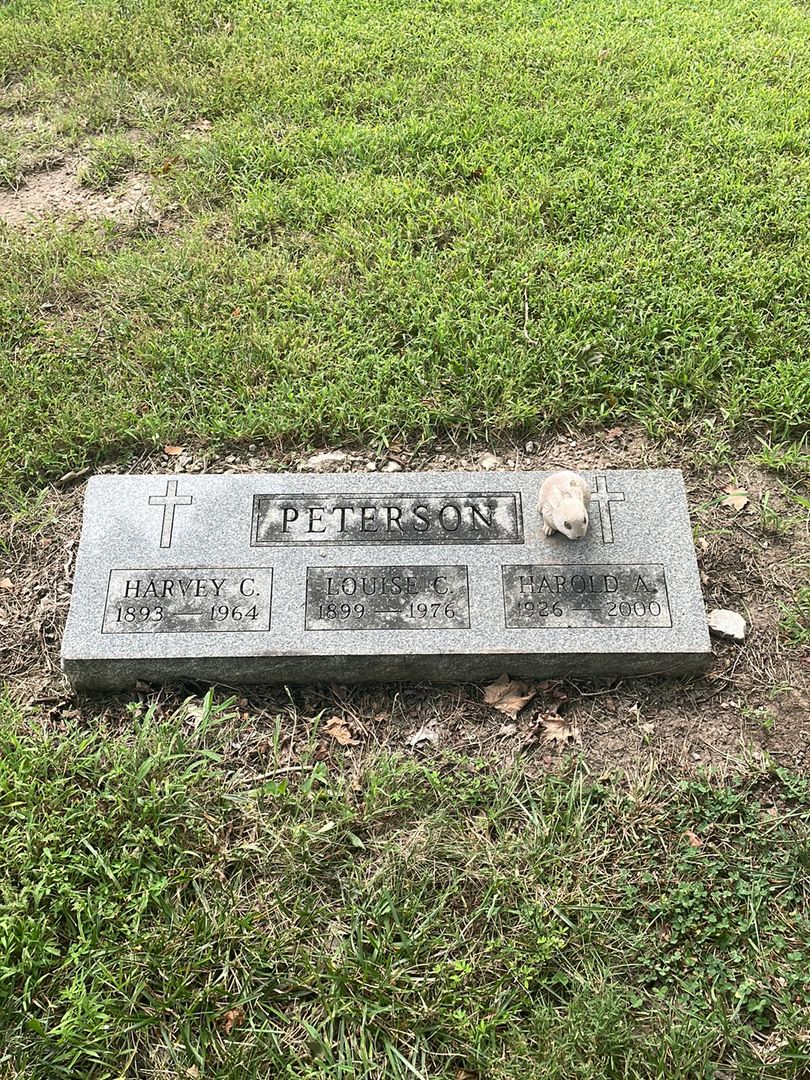 Harold Andrew Peterson's grave. Photo 1