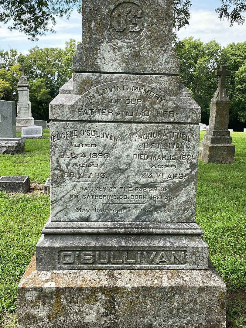 Eugene O’Sullivan's grave. Photo 1