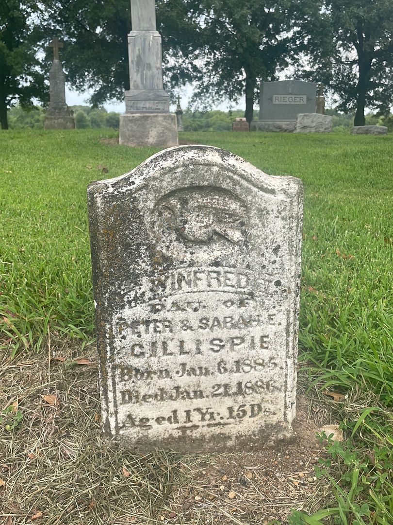 Joseph W. Gillespie's grave. Photo 1