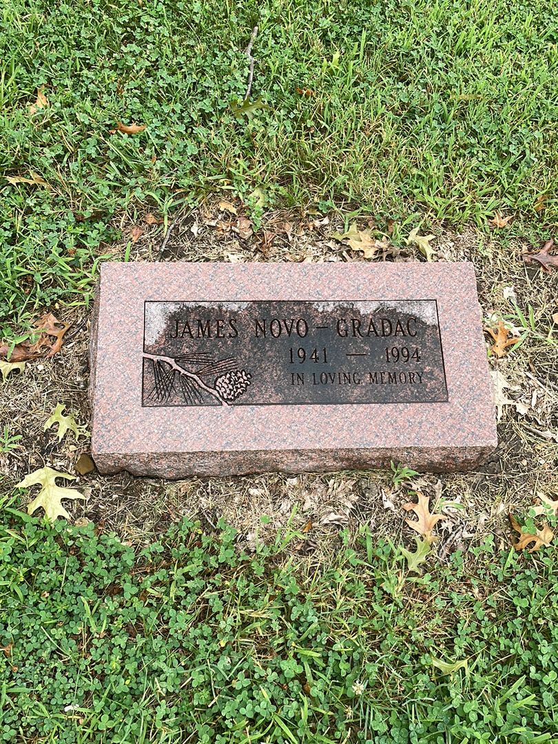 James A. Novo-Gradac's grave. Photo 1
