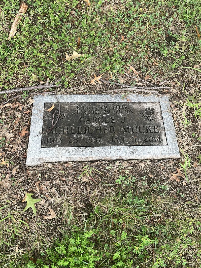 Carole J. Schleicher Mucke's grave. Photo 1